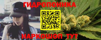стафф Шахты
