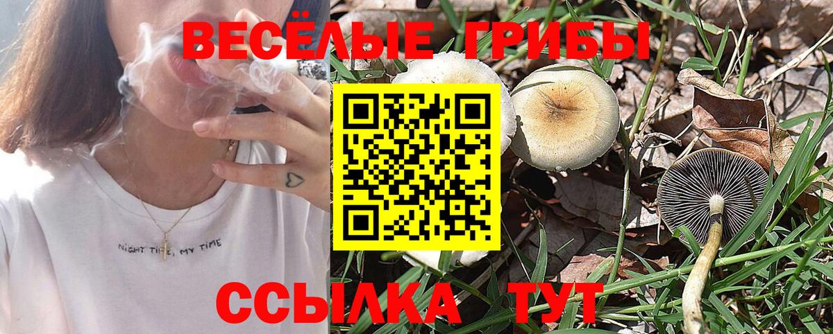 Псилоцибиновые грибы мухоморы Большой Камень