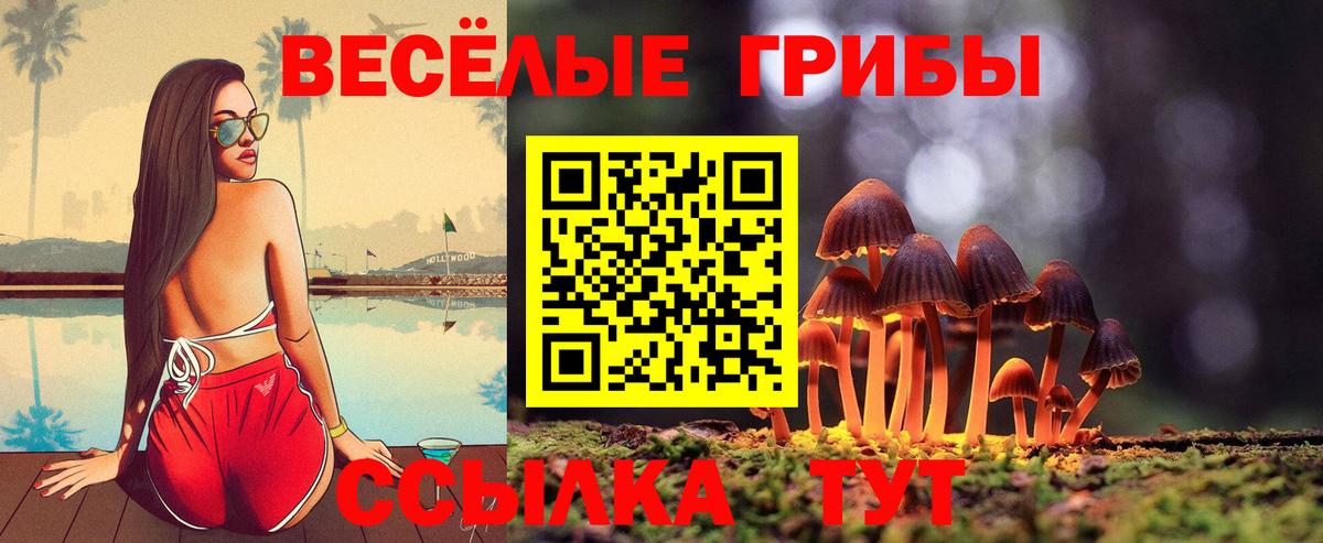 Псилоцибиновые грибы GOLDEN TEACHER  Галлюциногенные грибы мицелий  Вход с VPN  Большой Камень 